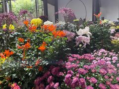 -杭州植物园
