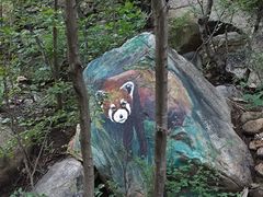-黑龙潭风景区