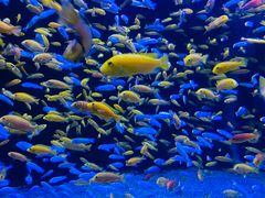 -成都浩海立方海洋公园