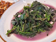 -全乐鱼馆·淳牌有机鱼直营店