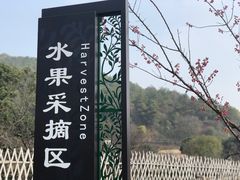-龙寺生态园