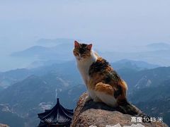 -崂山巨峰游览区