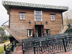 -金山农民画村-枫泾波兰倒置屋