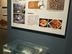 -柳州白莲洞洞穴科学博物馆
