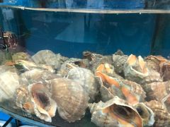 -渔中舟海鲜大排档(普陀沈家门店)