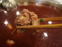 -冯记香辣兔火锅(茶店子总店)
