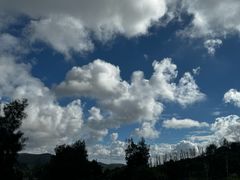 -大姆山草场