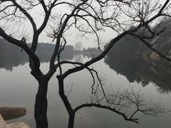 -嵖岈山风景区