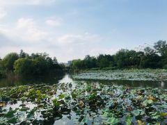 -新江湾城公园