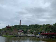 -顺峰山公园