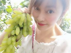 -马陆小张葡萄园农家乐