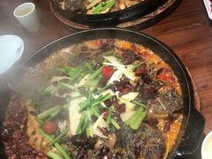 -老板恋上鱼(荣盛广场店)