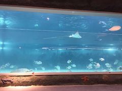 -绍兴梦享海洋公园