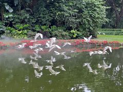 -广州长隆飞鸟乐园