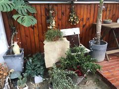 -肥朵食堂(带梦胡同店)