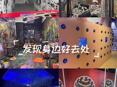 -不可思议减压馆·解压博物馆·摔碗发泄·团建定制