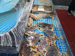 -老好人象山海鲜(岭南路店)