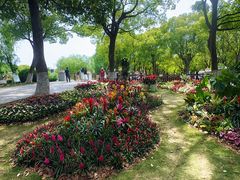 -上海鲜花港