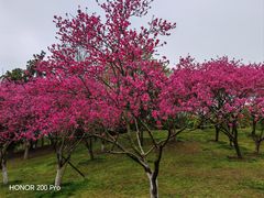 -堤角公园