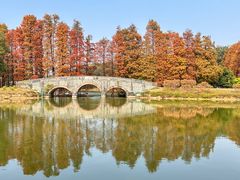 -中国科学院华南植物园
