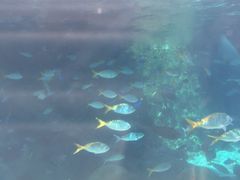 -新加坡水上探险乐园