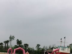 -九龙湖公园