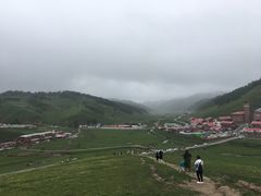 -关山草原