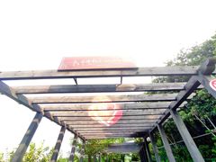 -树山生态村