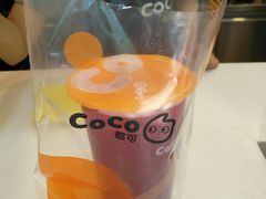 莓莓果茶-CoCo都可(常德路店)