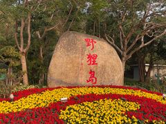 -野狸岛