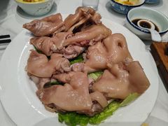 -丁老爷子苏香圆