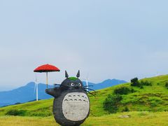 -仰天湖大草原