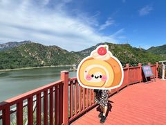 -燕塞湖鸟语林景区