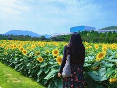 -君乐宝优致牧场