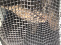 -纳吉亚猫专科动物诊疗中心(蒋宅口分院)