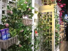 -精益眼镜(春熙路店)