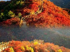 -水峪民俗村