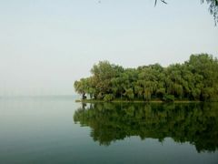 -天鹅湖体育公园