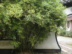 景点-郑和公园