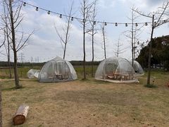 -广富林郊野公园
