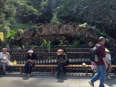 -西双版纳原始森林公园