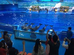 -多彩贵州城极地海洋世界