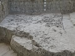 -金沙遗址博物馆