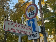 -三里屯东五街银杏大道