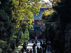 -灵谷景区
