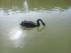 -琅岐红光湖公园