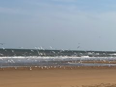 -日照海滨国家森林公园