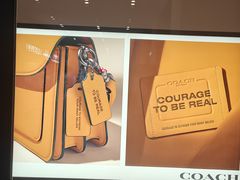 -COACH蔻驰(赛特奥特莱斯店)