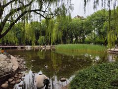-玲珑塔公园