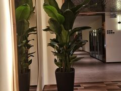 -御水泉·国际水疗会(广州长隆店)